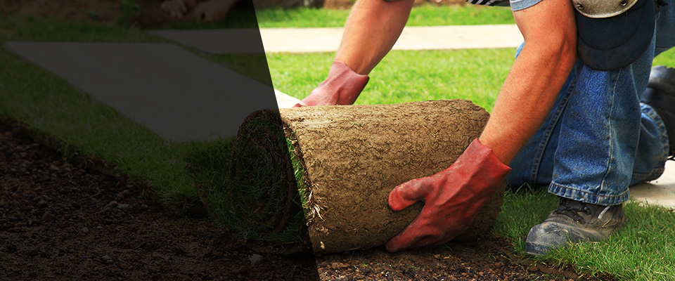 North Landscapers